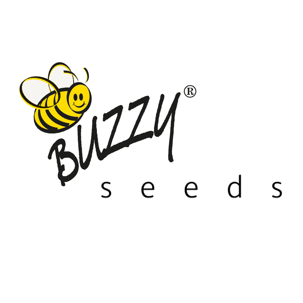 Buzzy