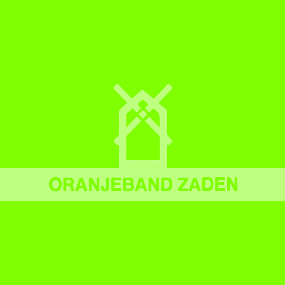 Oranjeband
