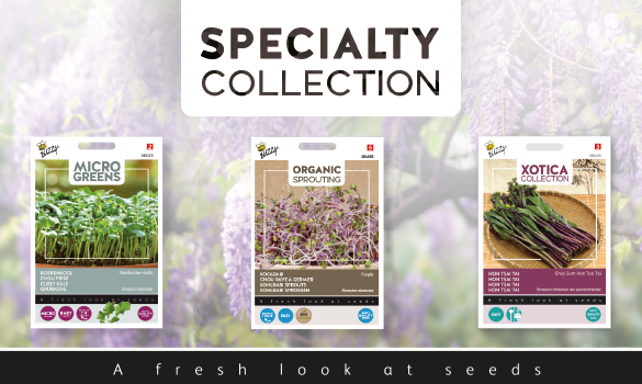 Buzzy Specialty Collection 1