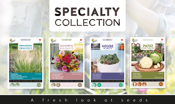 Buzzy Specialty Collection 2