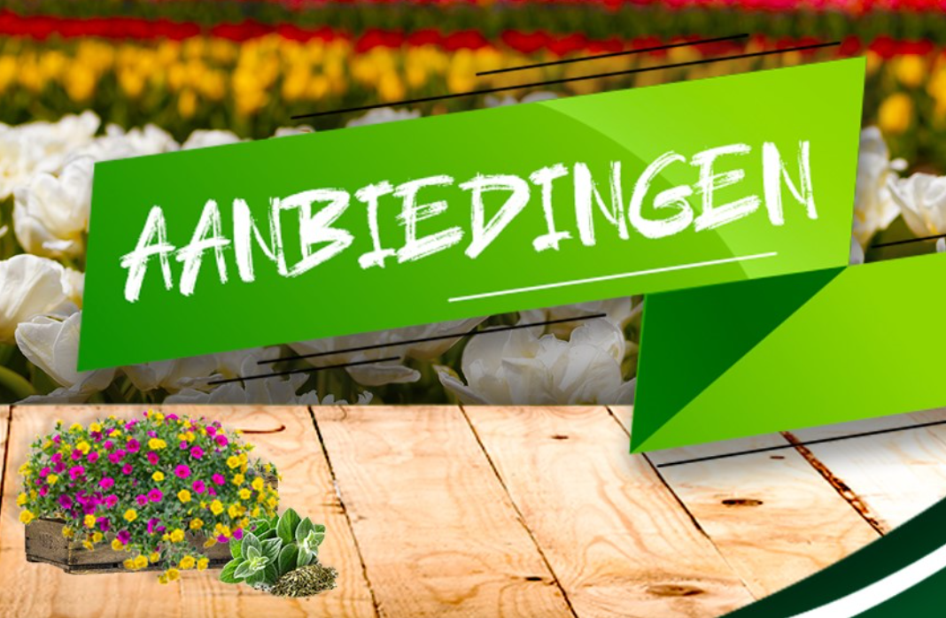 Aanbiedingen webshop