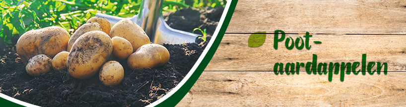 Categorie Pootaardappelen