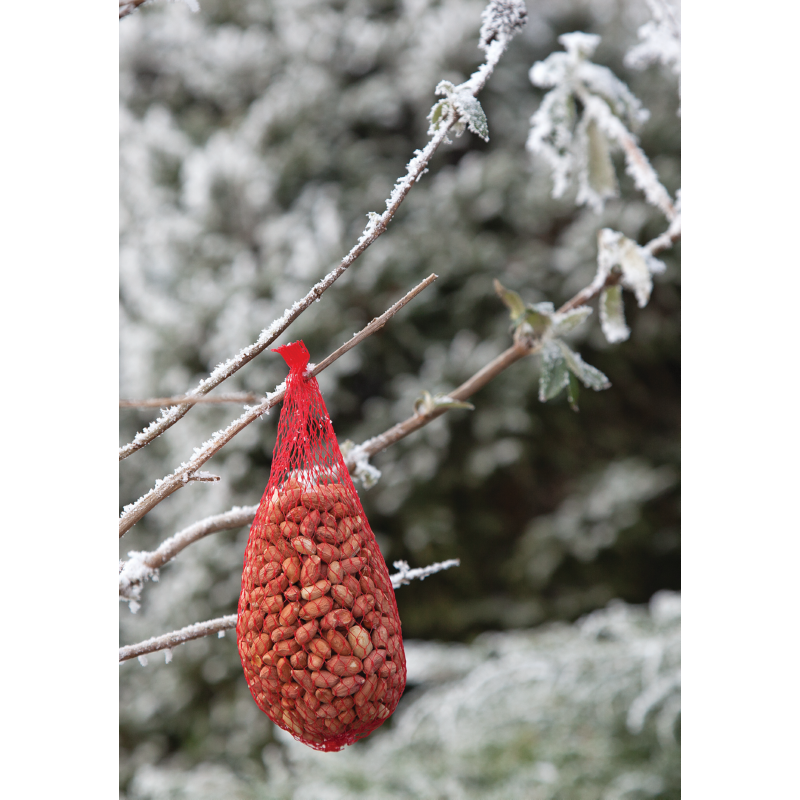 Bird Food Pindanetje 200g (60)