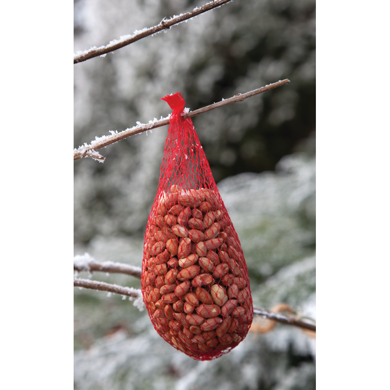 Bird Food Pindanetje 200g (60)