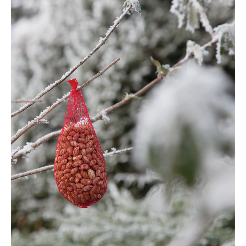 Bird Food Pindanetje 200g (60)