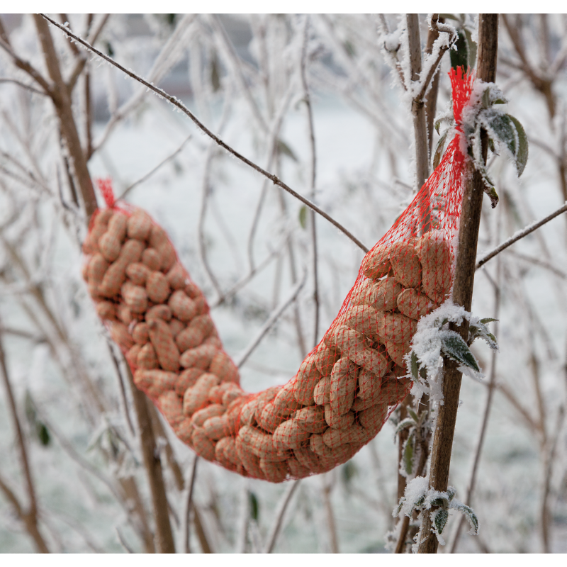 Bird Food Doppindaslinger 350g (15)