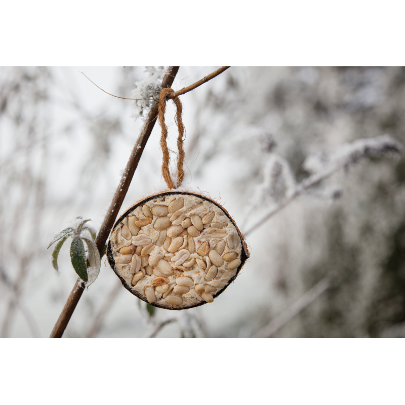 Bird Food Halve kokosnoot pinda incl. display(36)