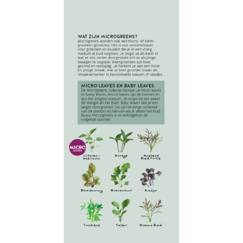 Brochure Buzzy Microgreens Ned.