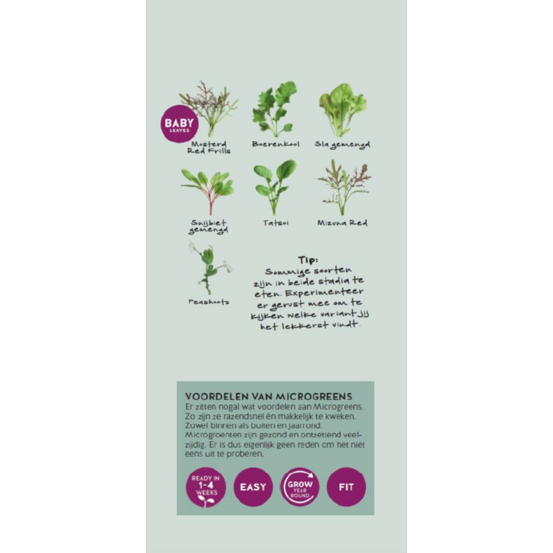Brochure Buzzy Microgreens Ned.