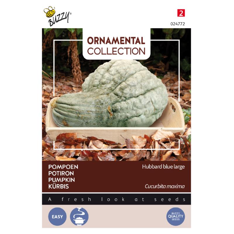 Buzzy® Ornamental, Pompoen Hubbard Large Blue