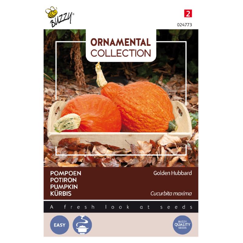 Buzzy® Ornamental, Pompoen Golden Hubbard