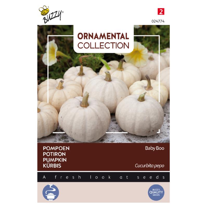 Buzzy® Ornamental, Pompoen Baby Boo
