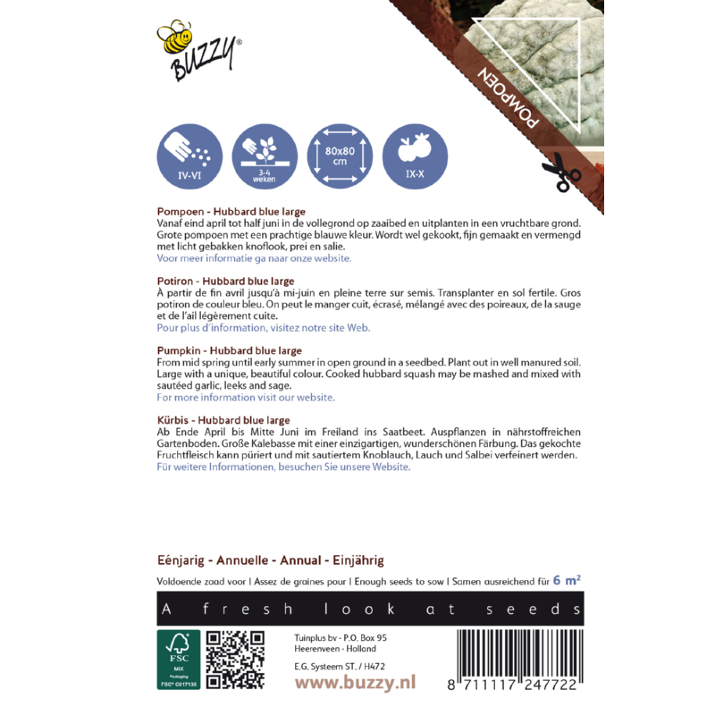 Buzzy® Ornamental, Pompoen Hubbard Large Blue