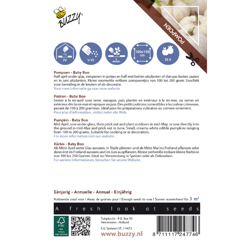 Buzzy® Ornamental, Pompoen Baby Boo