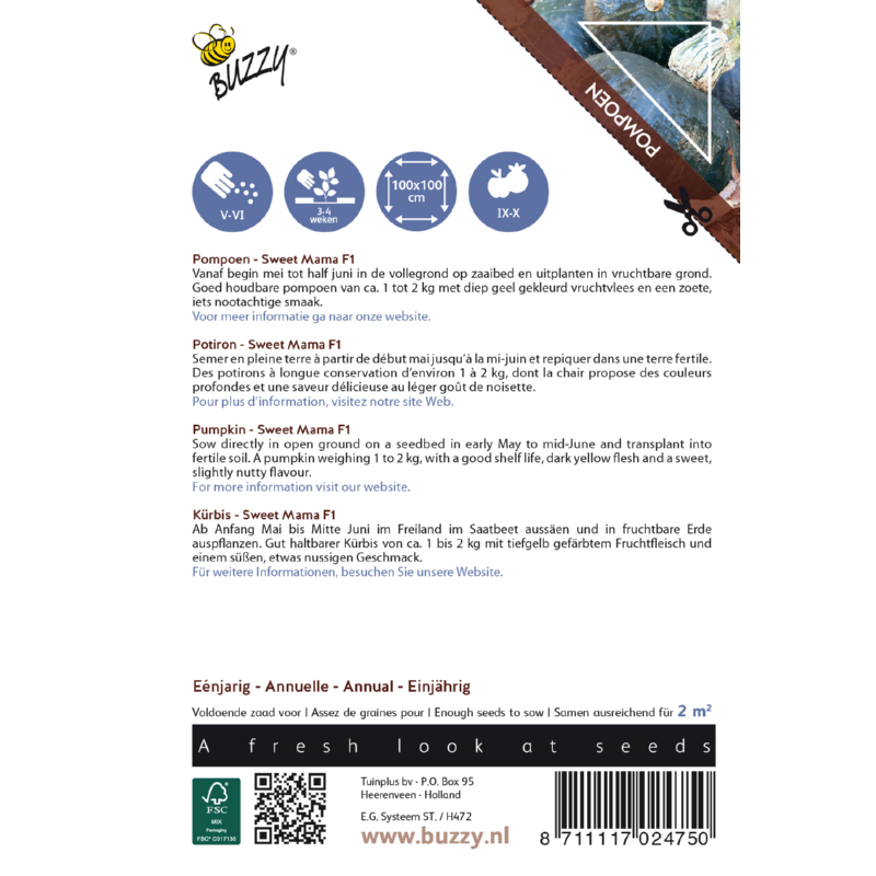Buzzy® Ornamental, Pompoen Sweet Mama F1