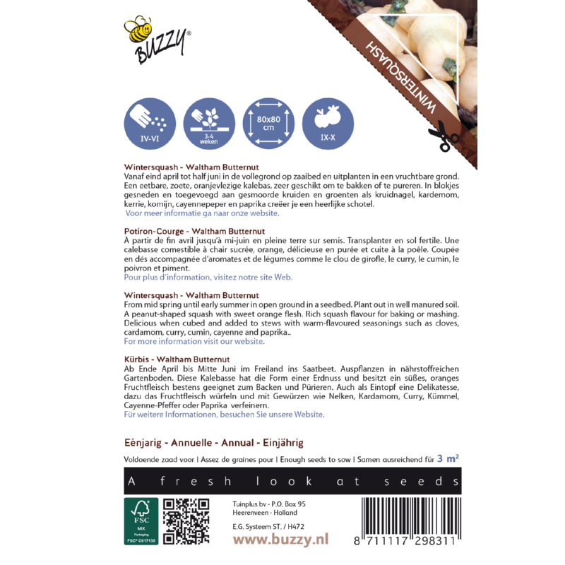 Buzzy® Ornamental Wintersquash Waltham Butternut