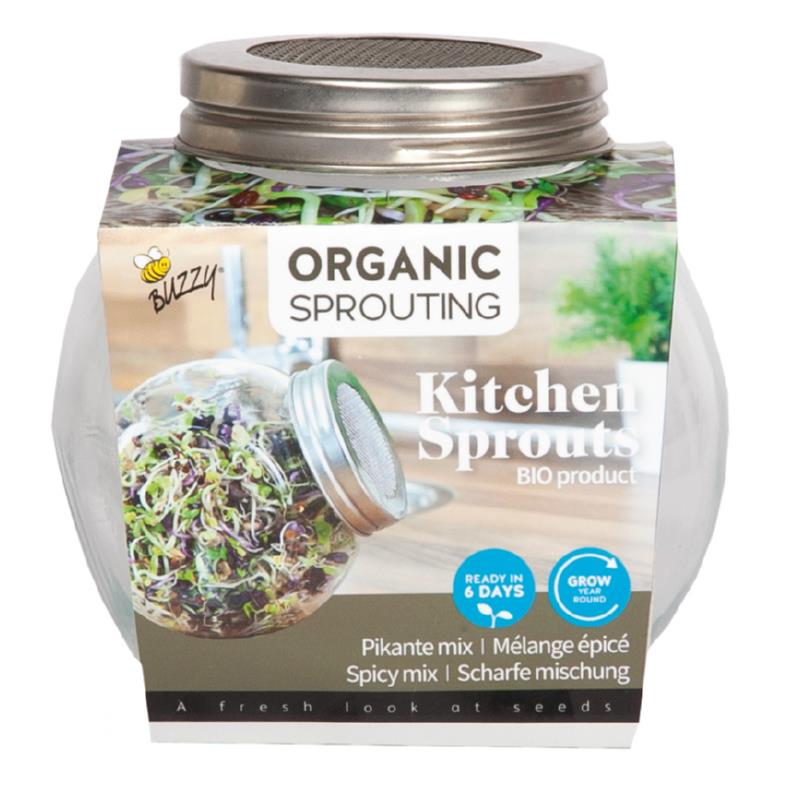 Buzzy® Organic Sprouting pot Pikante Salade (6)BIO