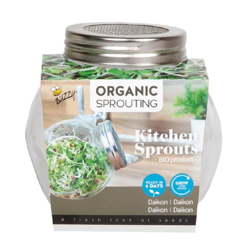 Buzzy® Organic Sprouting pot Daikon (6) BIO