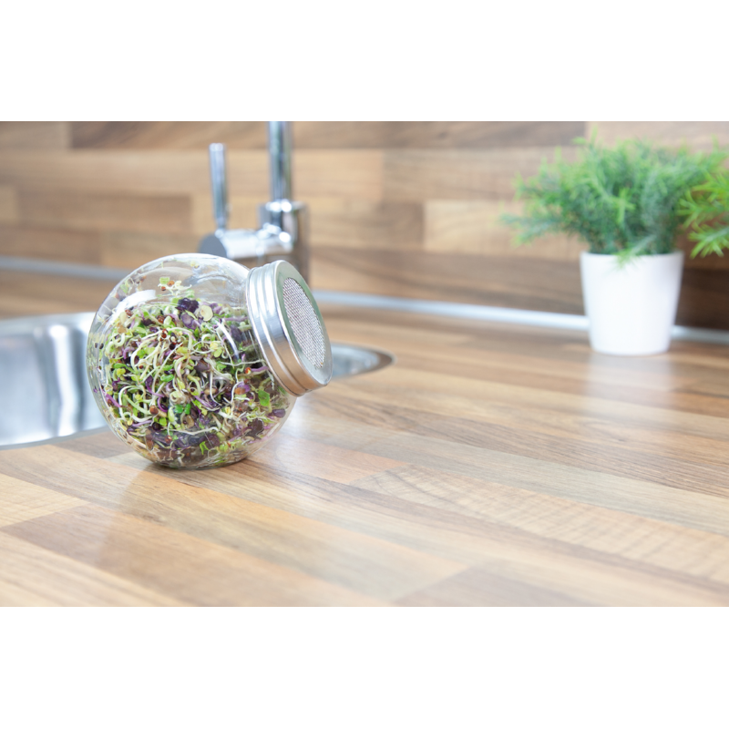 Buzzy® Organic Sprouting pot Pikante Salade (6)BIO