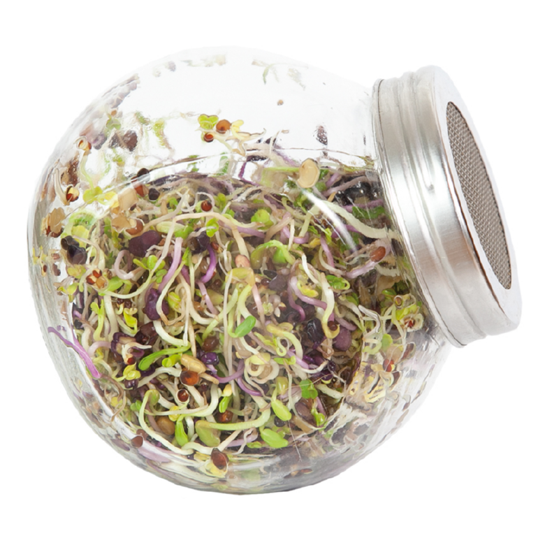 Buzzy® Organic Sprouting pot Pikante Salade (6)BIO