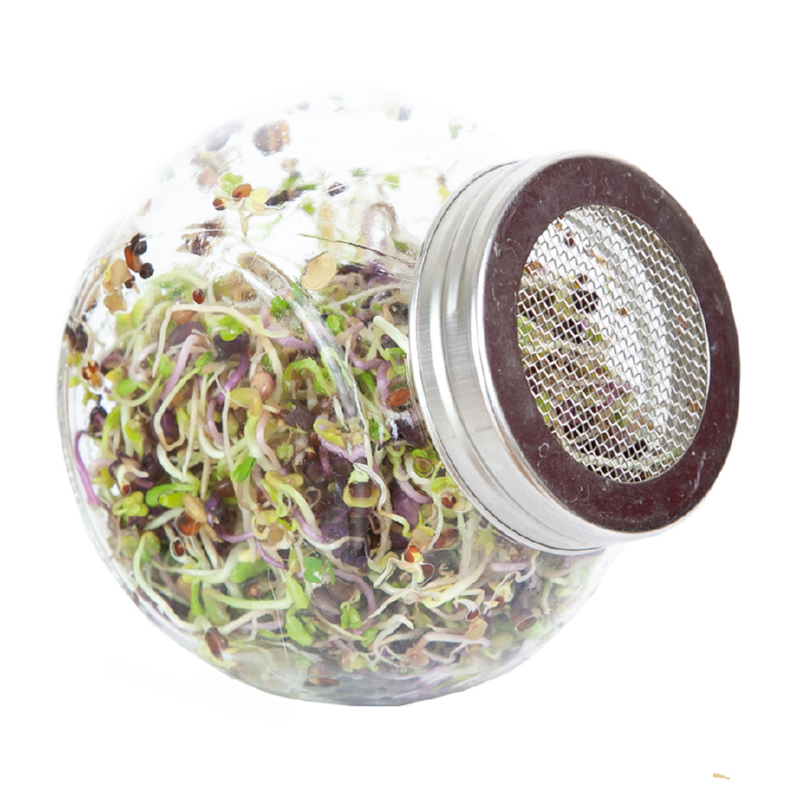 Buzzy® Organic Sprouting pot Pikante Salade (6)BIO