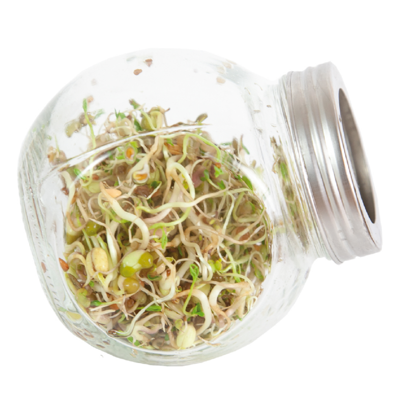 Buzzy® Organic Sprouting pot Salademix (6) BIO