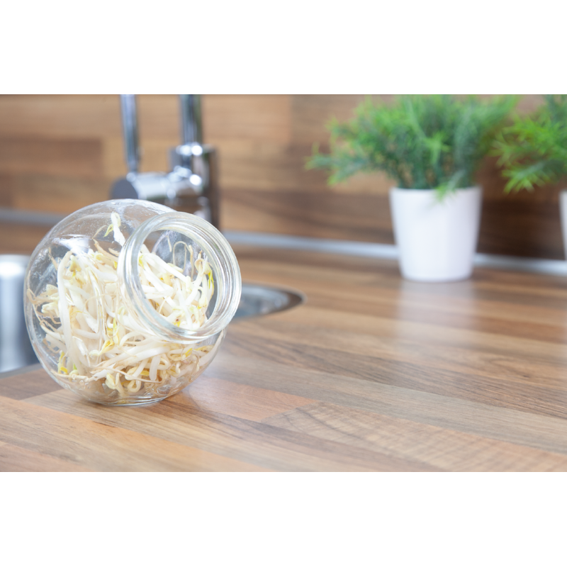 Buzzy® Organic Sprouting pot Tauge (6) BIO