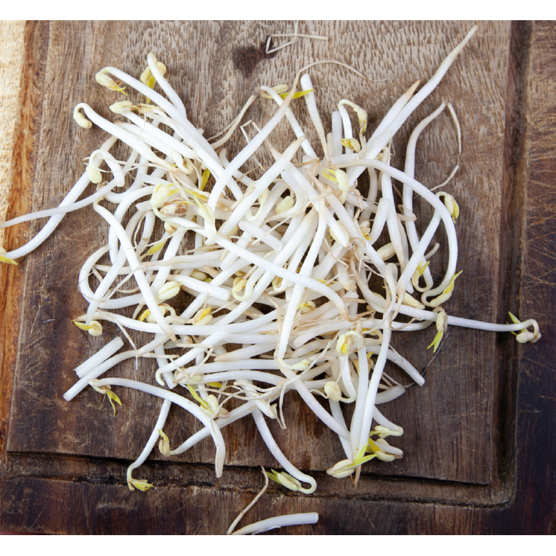 Buzzy® Organic Sprouting pot Tauge (6) BIO