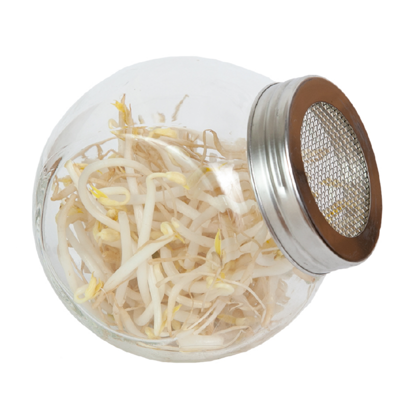 Buzzy® Organic Sprouting pot Tauge (6) BIO