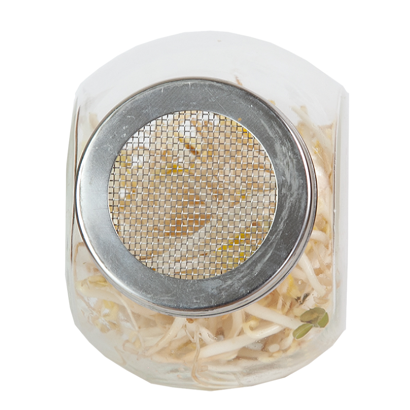 Buzzy® Organic Sprouting pot Tauge (6) BIO