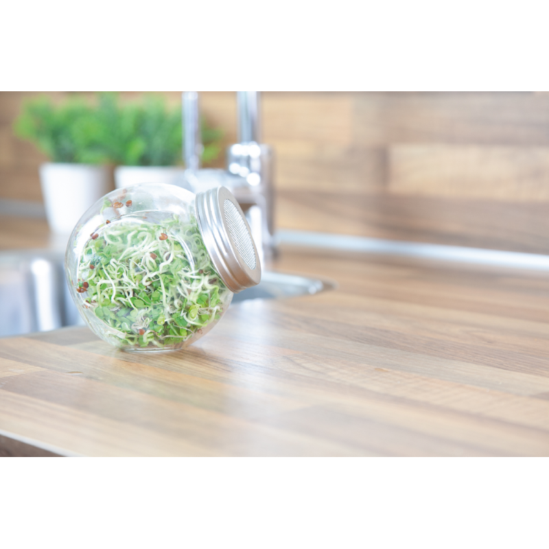 Buzzy® Organic Sprouting pot Daikon (6) BIO