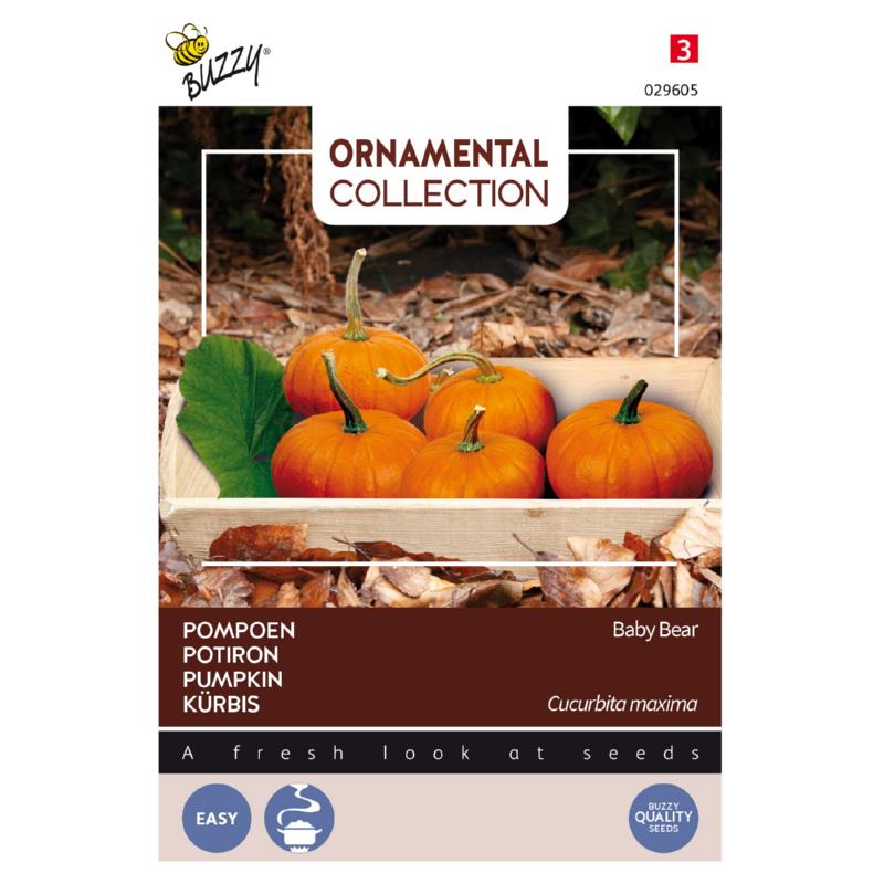 Buzzy® Ornamental Pompoen Baby Bear