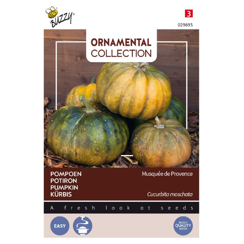 Buzzy® Ornamental Courgette Musque De Provence