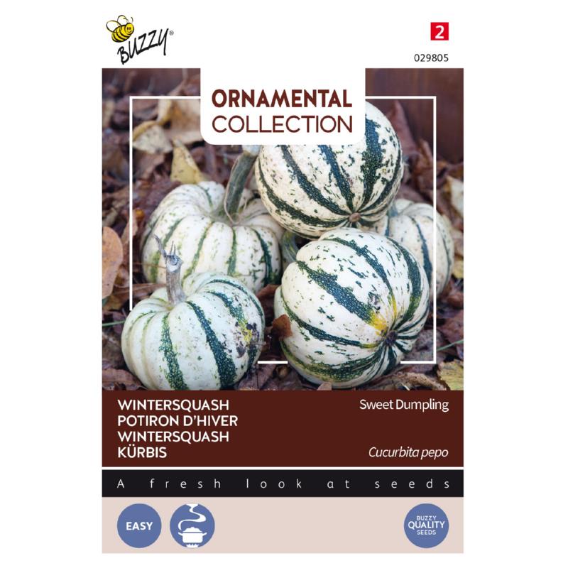 Buzzy® Ornamental Wintersquash Sweet Dumpling