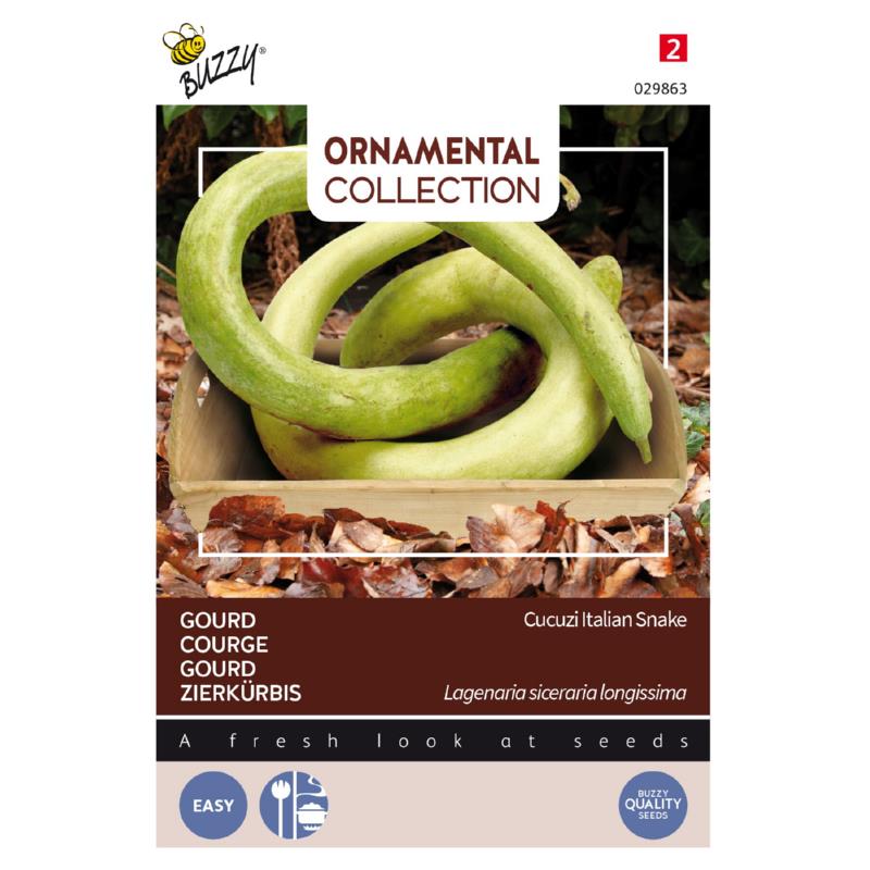 Buzzy® Ornamental Gourd Italian Snake