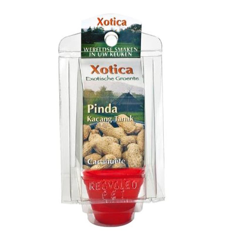 Buzzy® Kweekkasje Pinda (12)