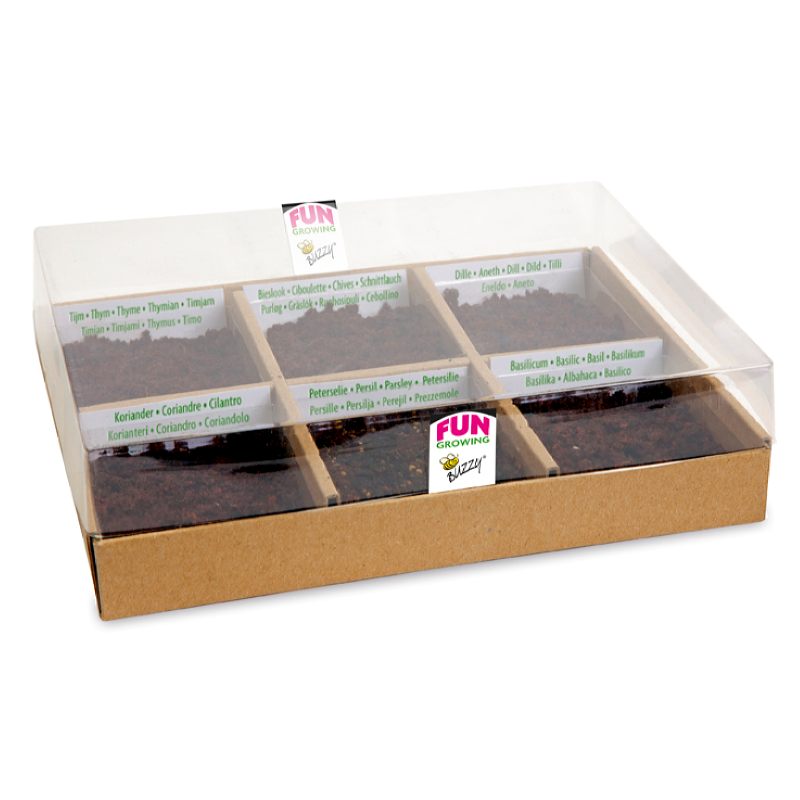 Buzzy® Starter kit Culinary Herbs (8)