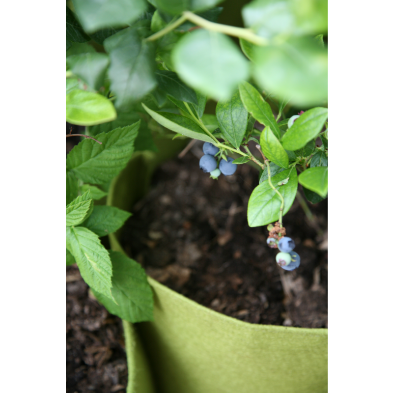 Vigoroot Self-Watering Tower garden