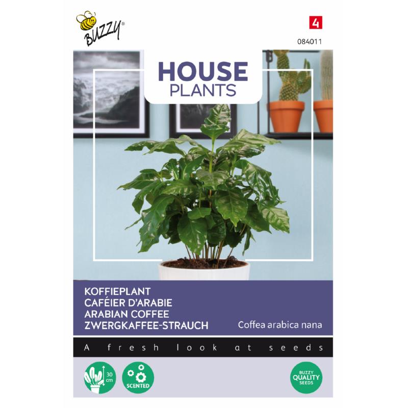 Buzzy® House Plants Coffea Arabica, Koffieplant
