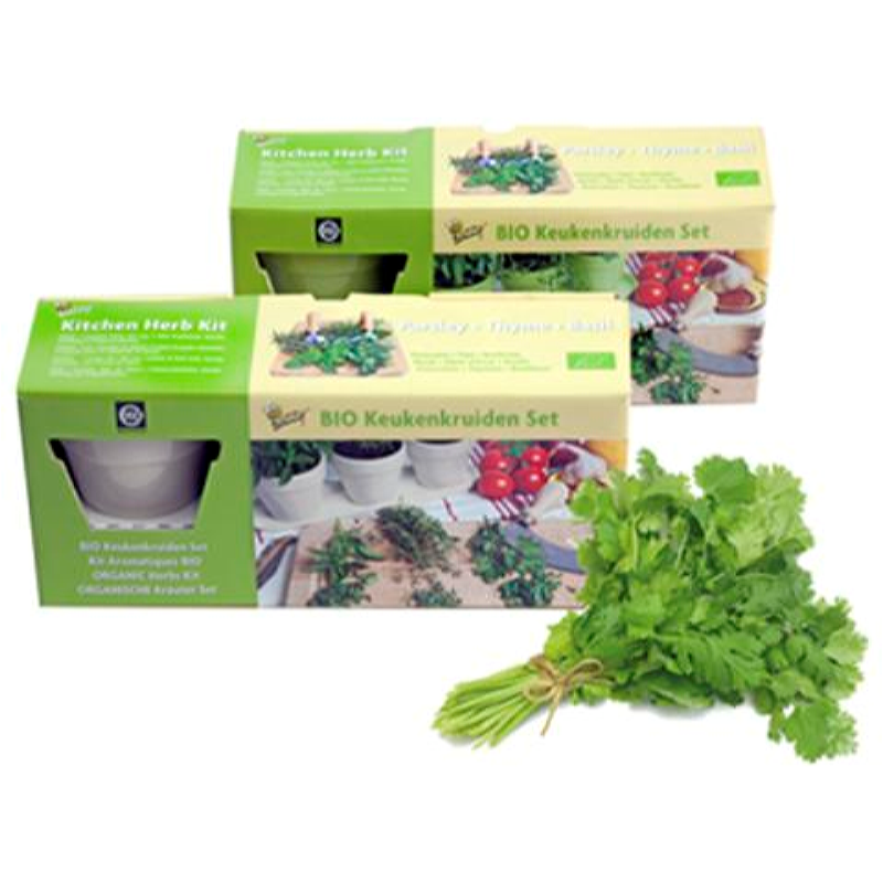 Buzzy® Bio Keukenkruiden Set Wit (6)