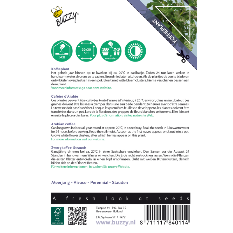 Buzzy® House Plants Coffea Arabica, Koffieplant