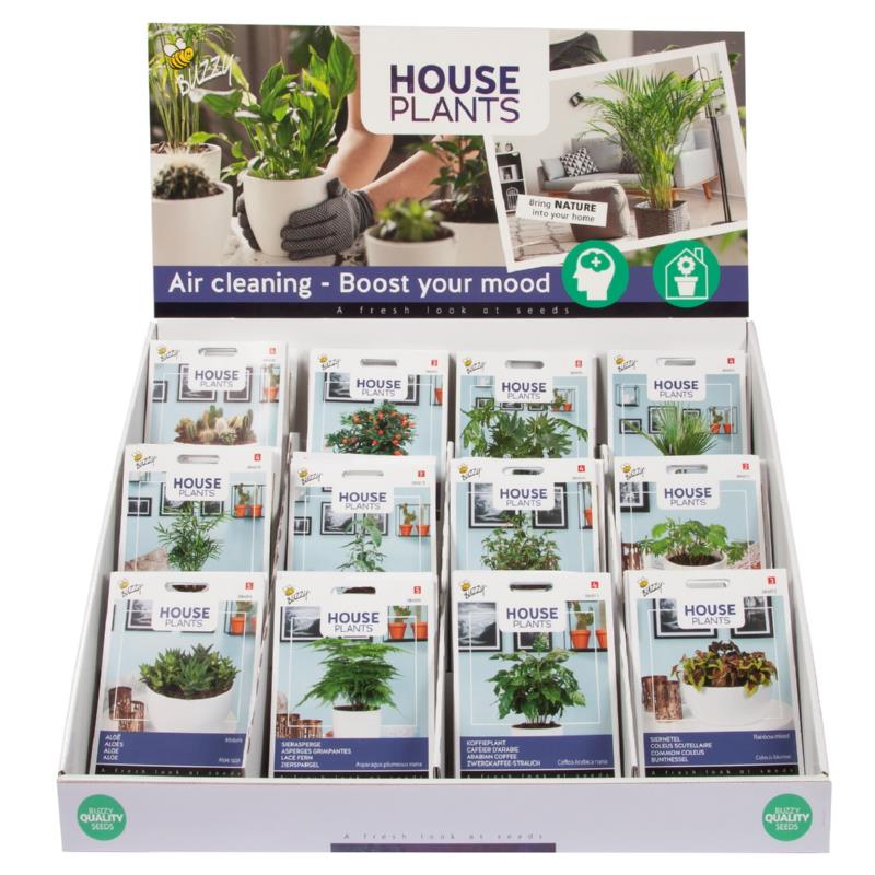 Buzzy® Display House Plants 12x10 (1)