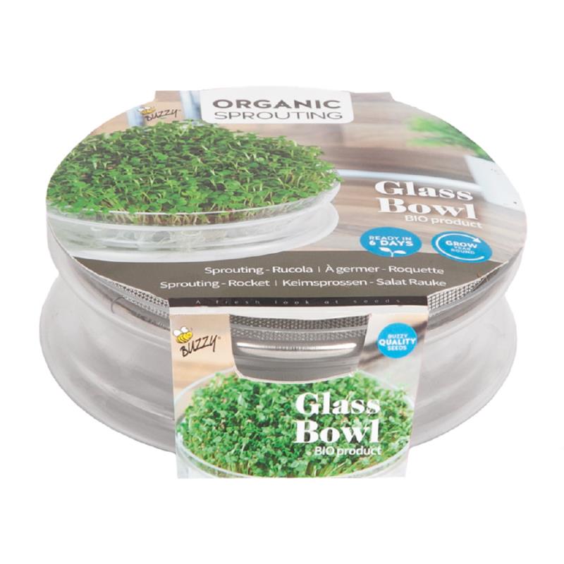 Buzzy® Organic Sprouting Glazen Bowl met Rucola (6) BIO