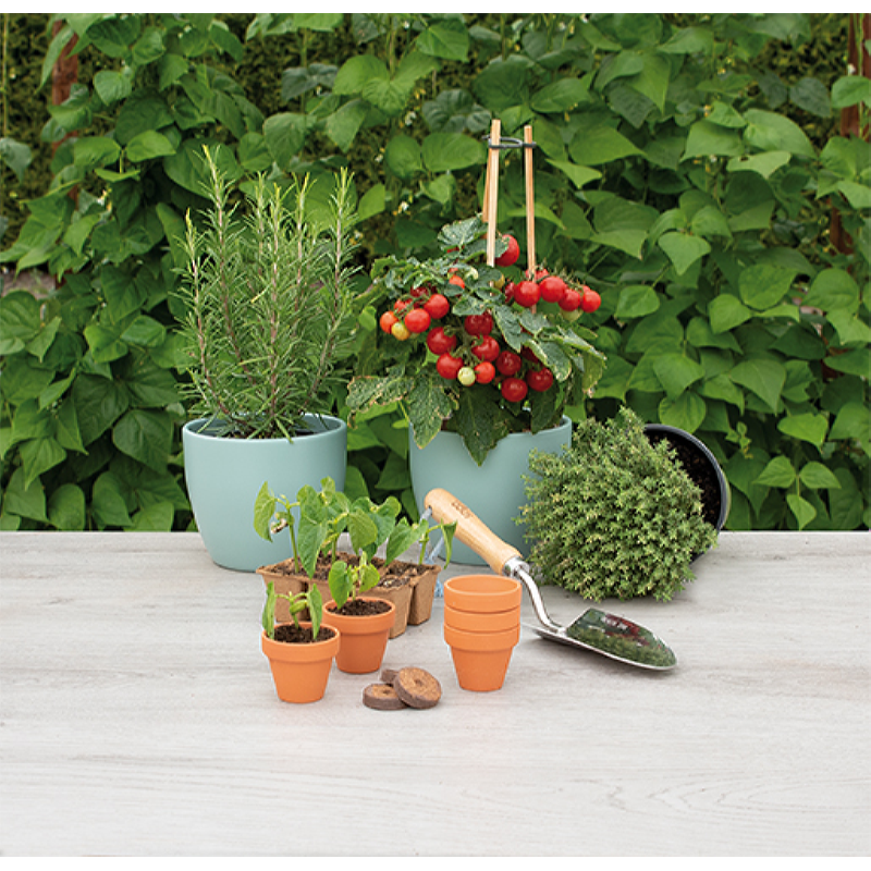 SOGO Stenen terracotta potjes 5/6cm 9st. (12)