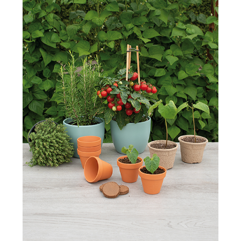 SOGO Stenen terracotta potjes 7/8cm 7st. (6)