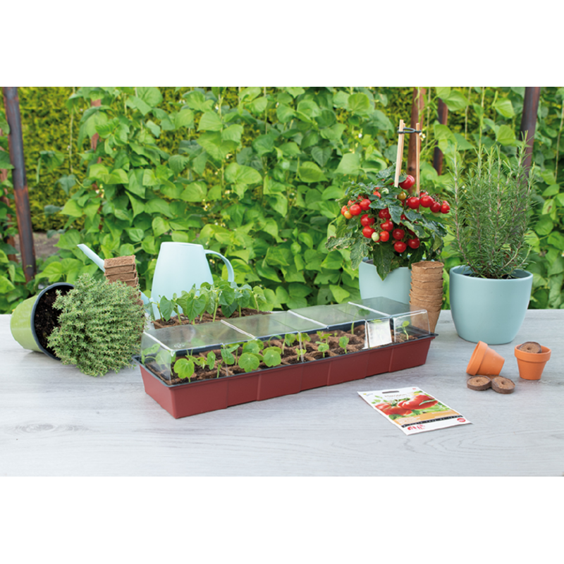 SOGO Vensterbank kweekkas 30 turfpotjes (5)