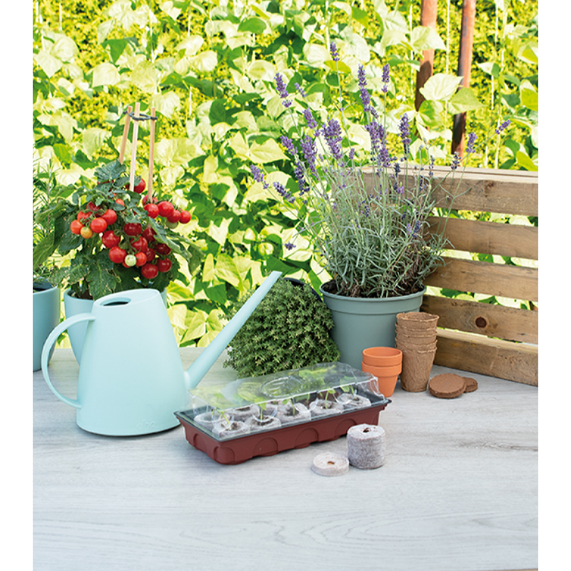 SOGO Kweekkas incl. 10 aardetabletten (12)