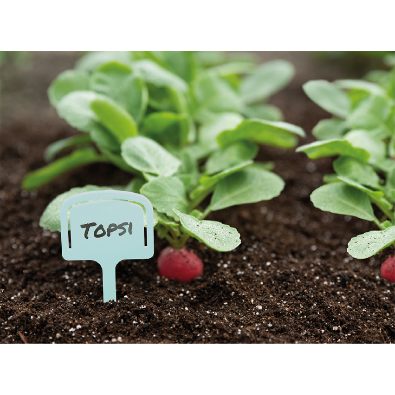 SOGO Labels+Zaadzakjehouder 12,5cm 10st  (10)