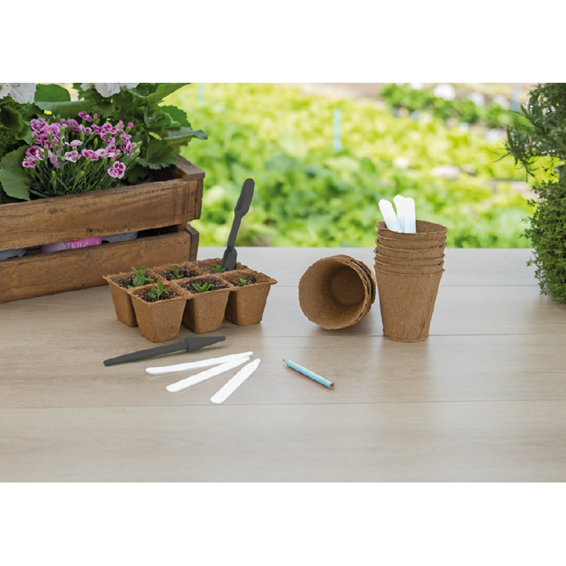 SOGO Verspeenset  (10)