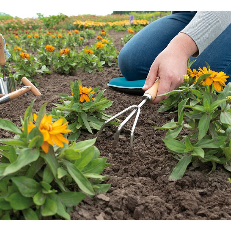 SOGO Handharkje 3-tands roestvrijstaal (5)